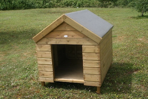 Dog Kennel, 2 of 1