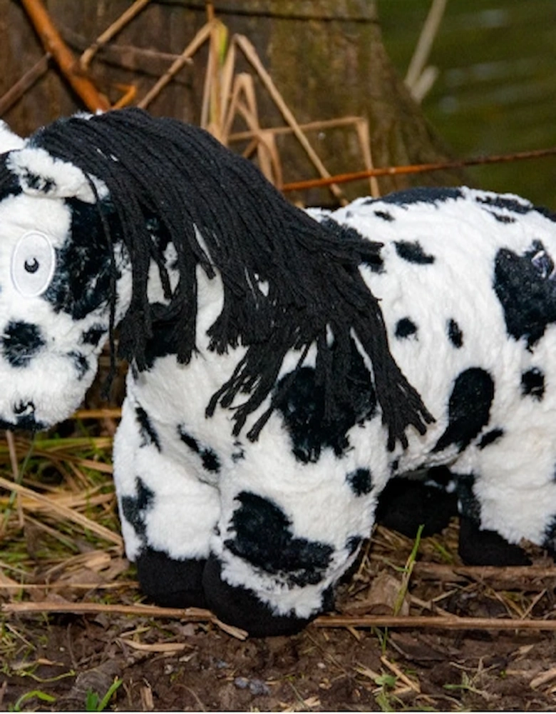 Pony Piebald