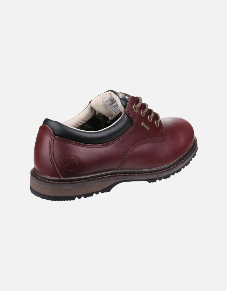 model Stonesfield Hiking Shoe Male in Chestnut