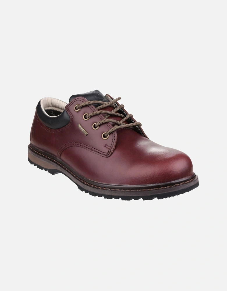 model Stonesfield Hiking Shoe Male in Chestnut