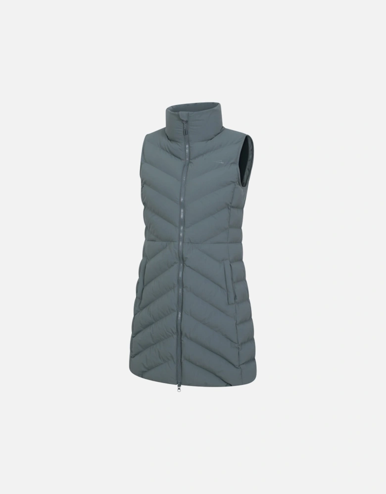 Womens/Ladies Anmore Padded Gilet