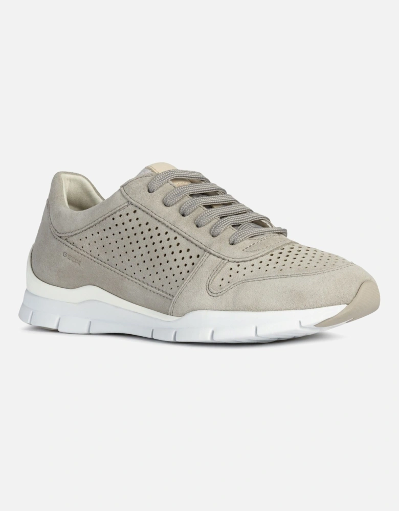 D Sukie B Leather Women's Light Grey Trainers