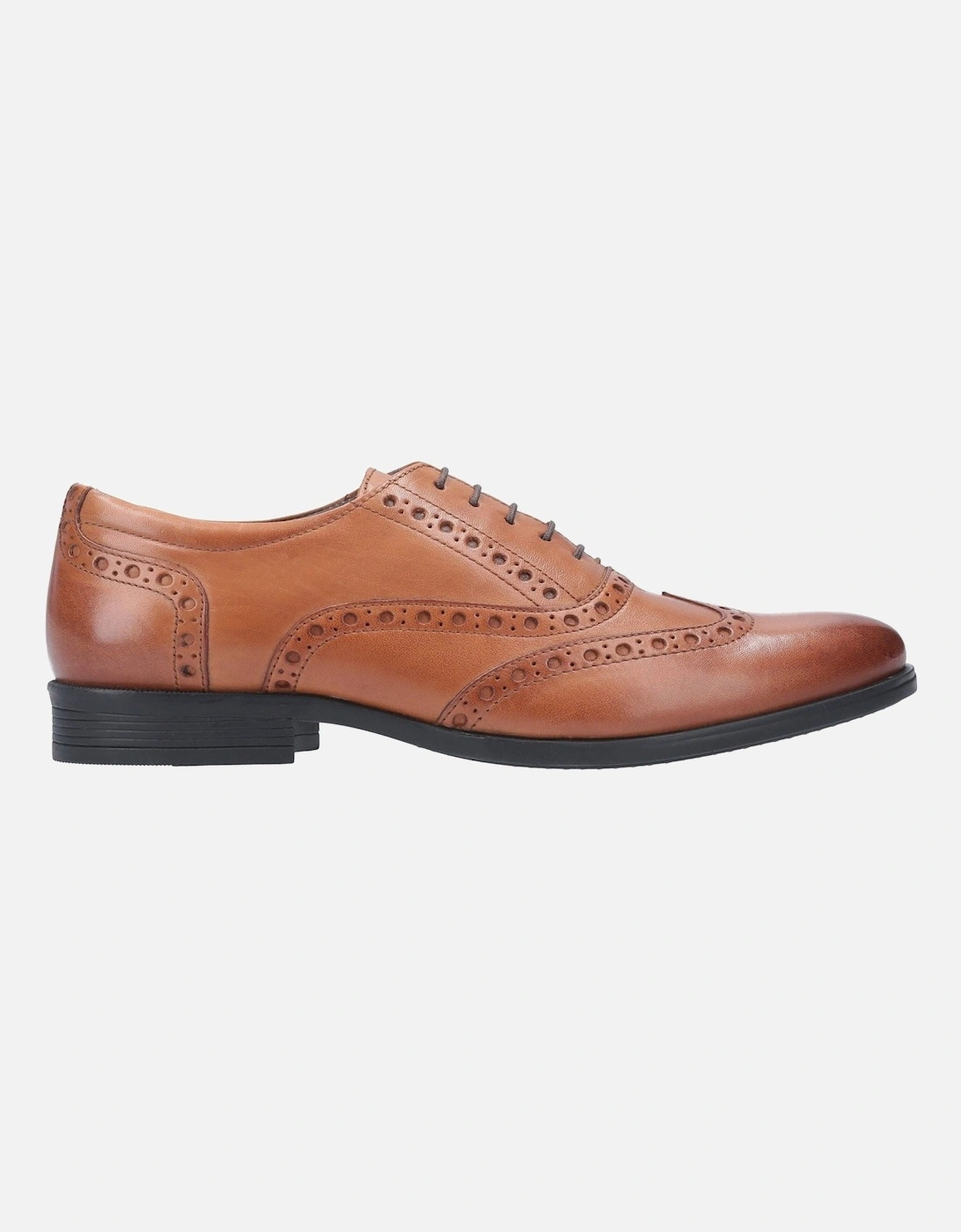 model Oaken Brogue Shoe Male in Dark Brown