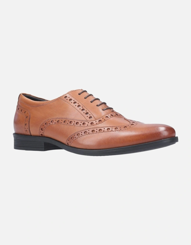 model Oaken Brogue Shoe Male in Dark Brown