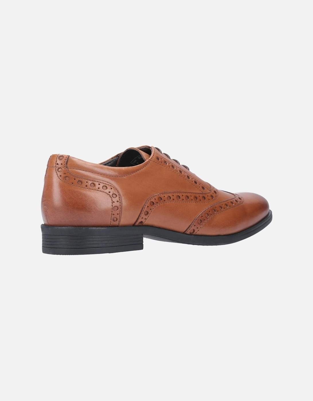 model Oaken Brogue Shoe Male in Dark Brown