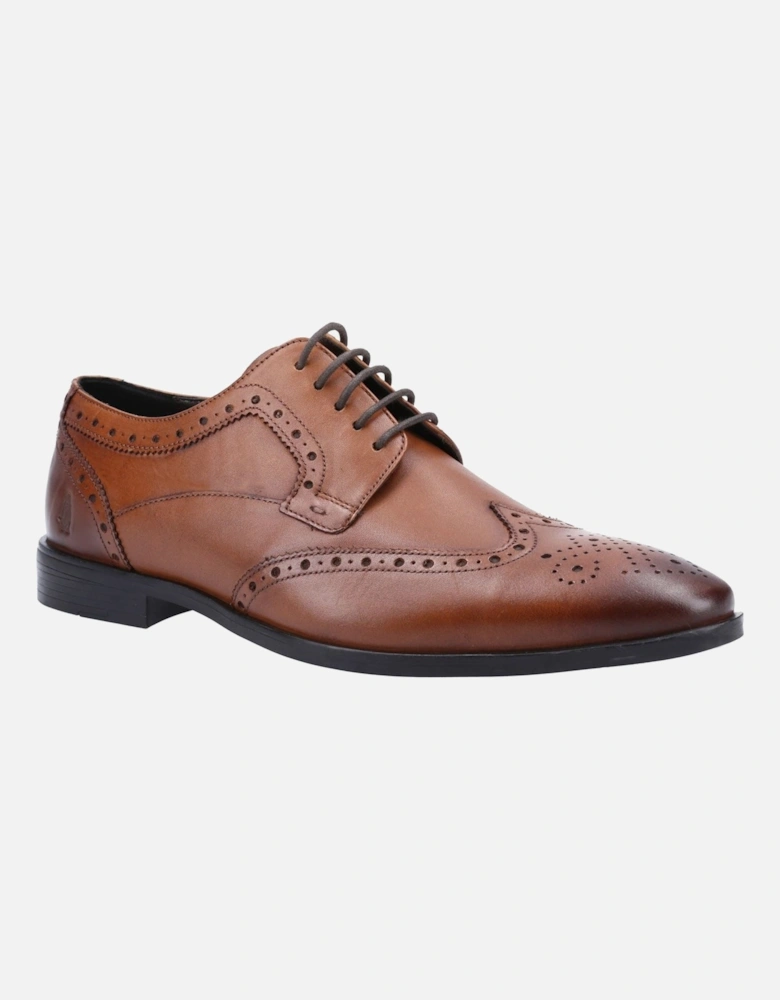 model Elliot Brogue School Shoe Male in Tan