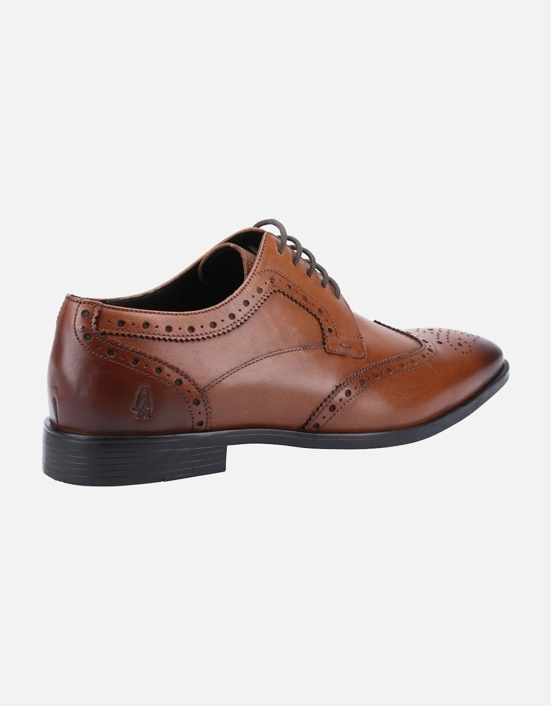 model Elliot Brogue School Shoe Male in Tan