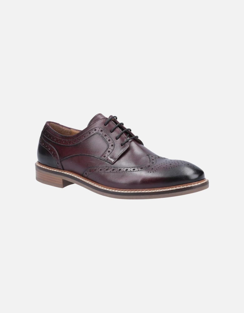 model Bryson Lace Shoes Male in Bordo