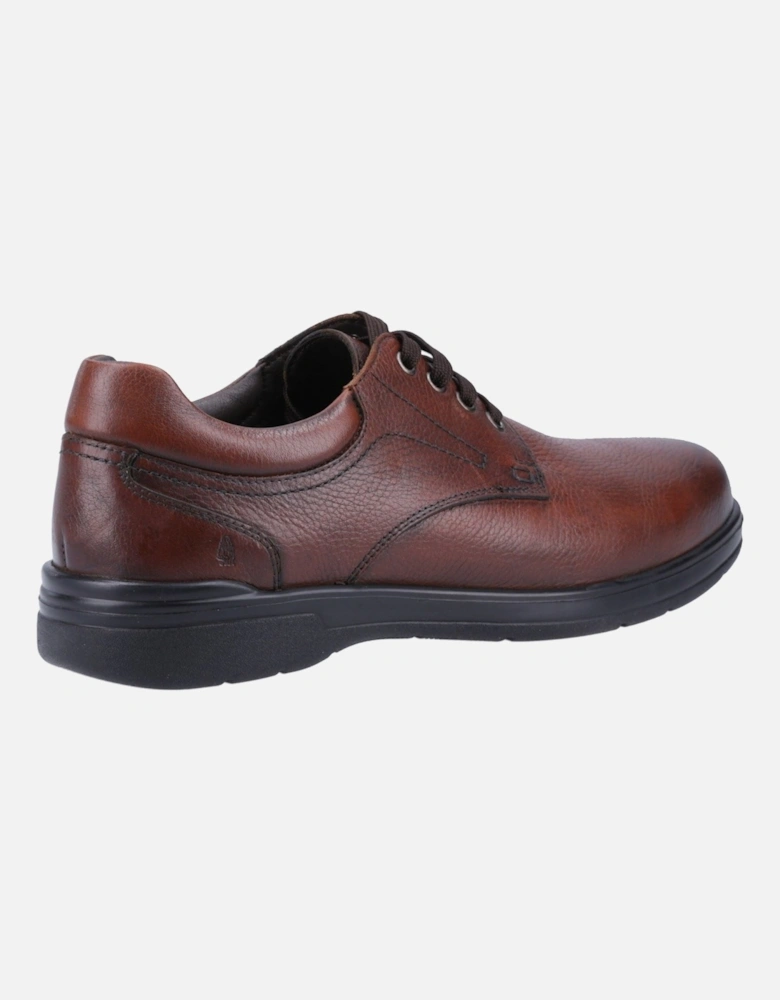 model Marco Lace Up Shoe Male in Brown