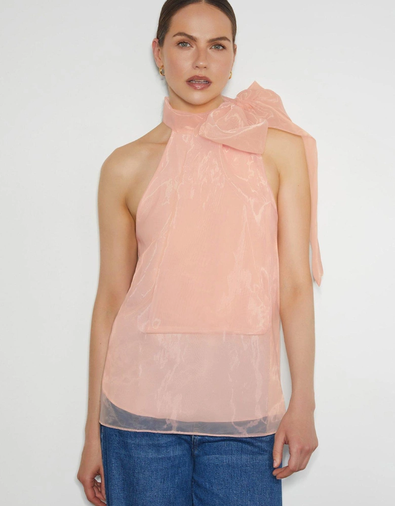 Vera Organza Top - Pink