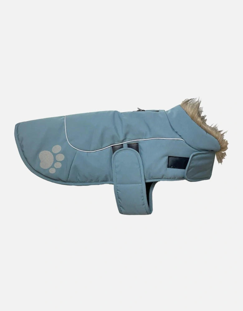 Paw Print Dog Jacket Sky Blue