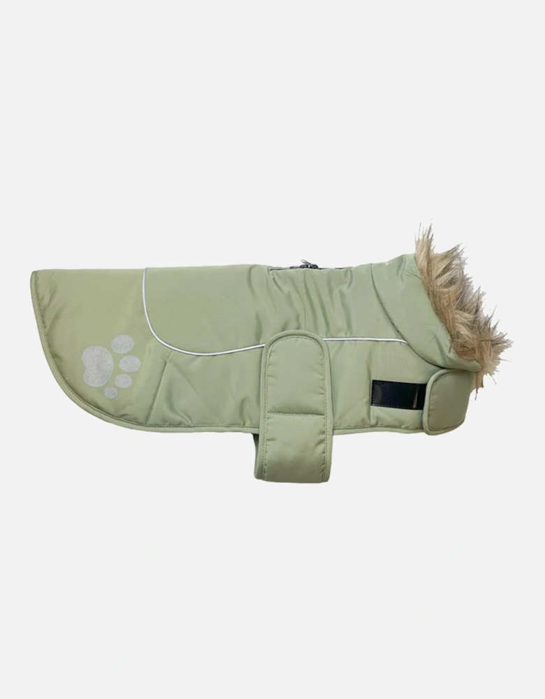 Paw Print Dog Jacket Sage Green