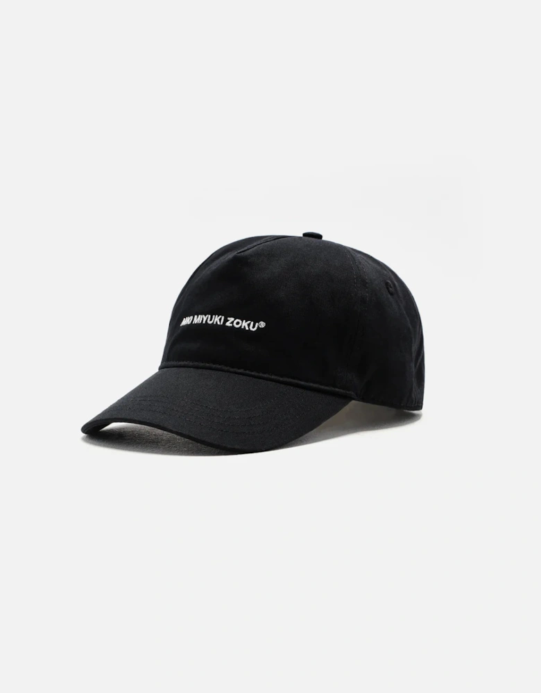 V2 Twill Ball Cap