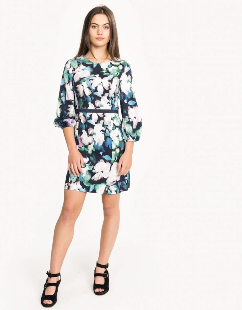 Dreda Print Flare Womens Dress