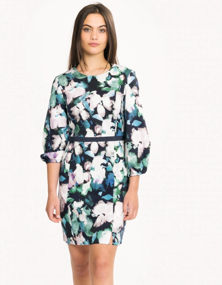 Dreda Print Flare Womens Dress