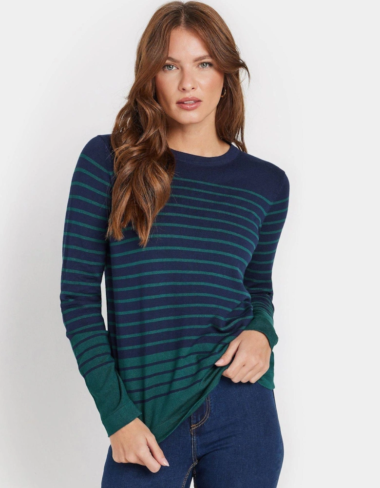 Striped Crew Neck Jumper - Blue