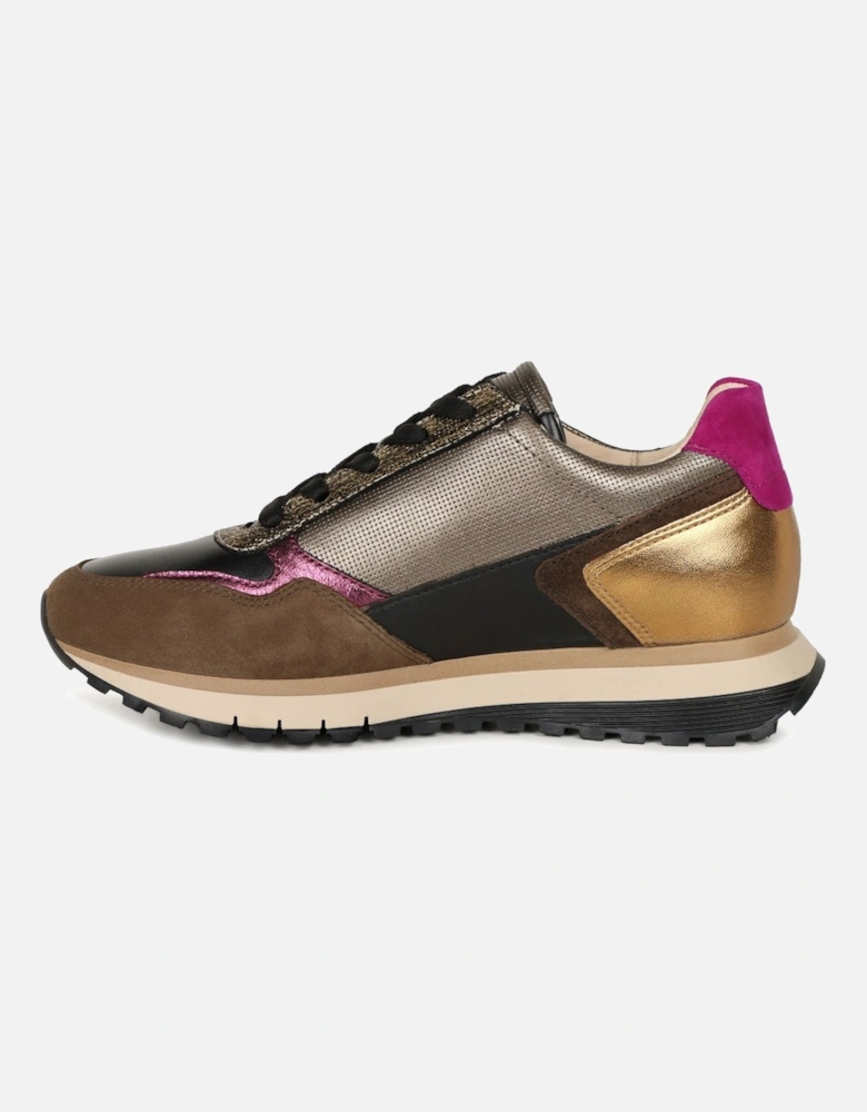 Hollywell Womens Trainers