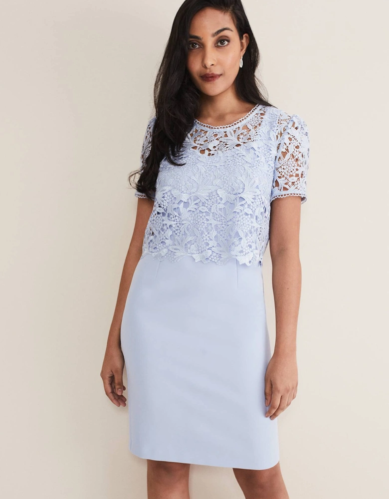 Petite Isabella Lace Midi Dress