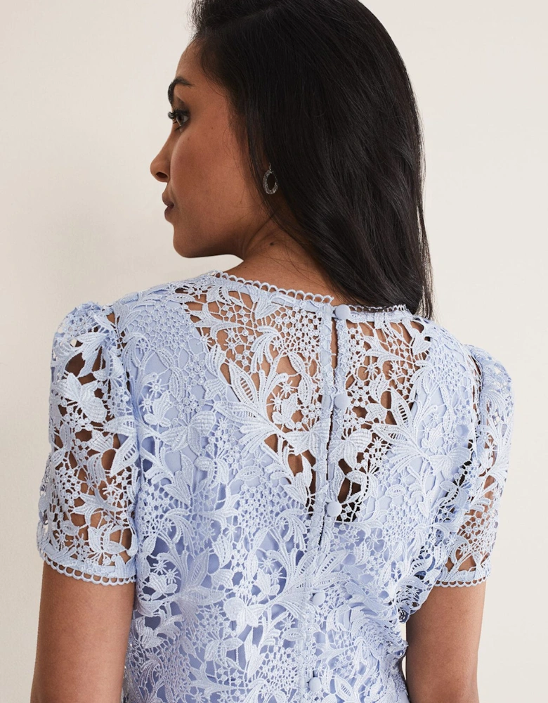 Petite Isabella Lace Midi Dress