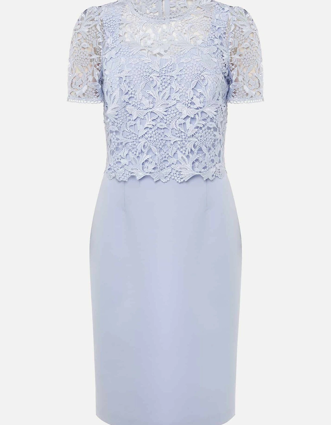 Petite Isabella Lace Midi Dress