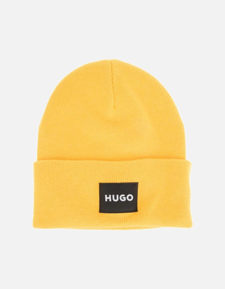 Xevon Ribbed Turn Up Beanie