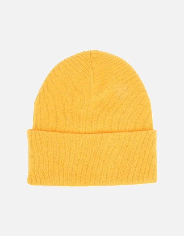 Xevon Ribbed Turn Up Beanie