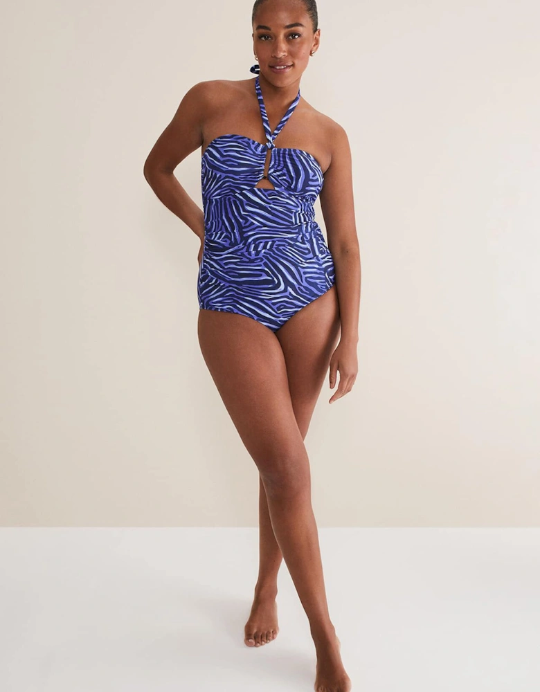 Zebra Print Halterneck Swimsuit