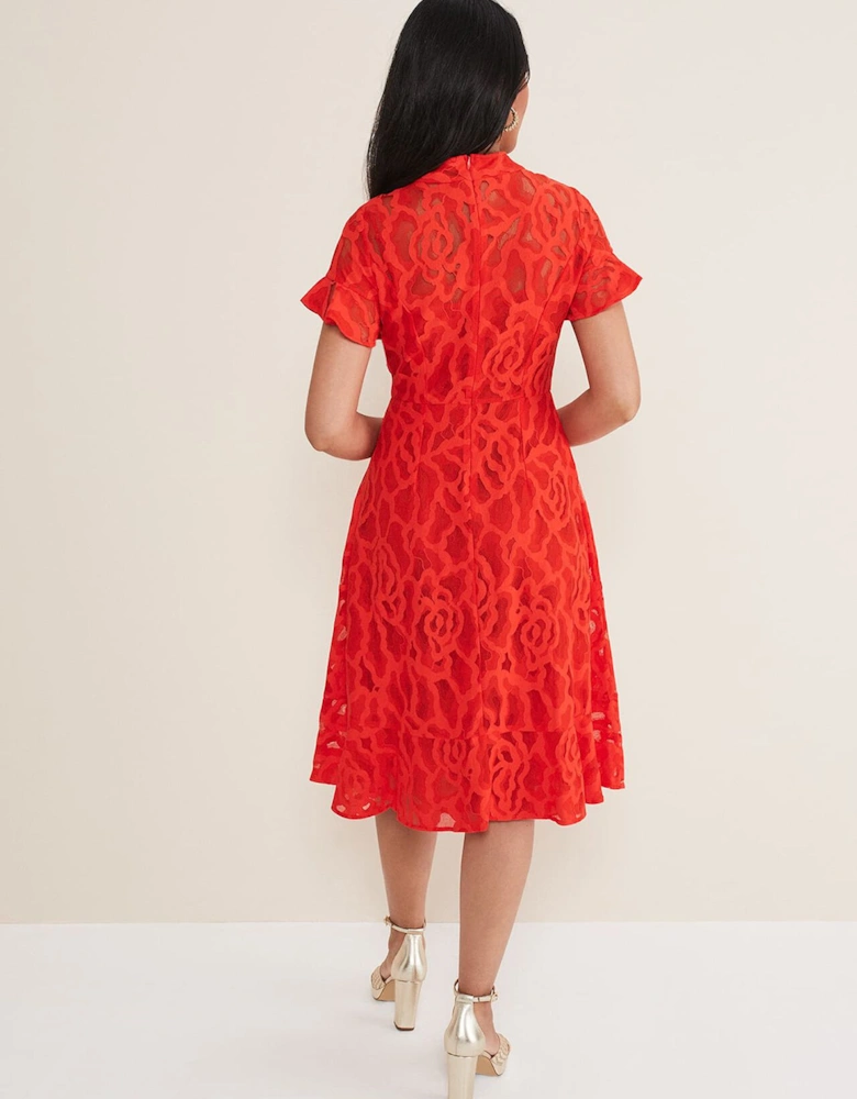 Petite Lulu Lace Midi Dress