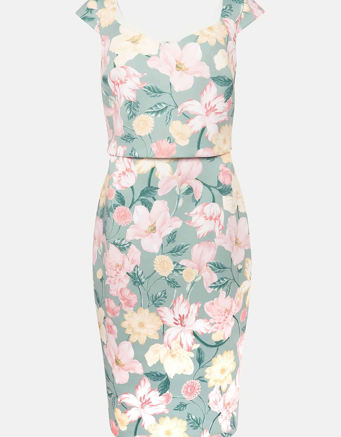 Jessia Floral Scuba Dress