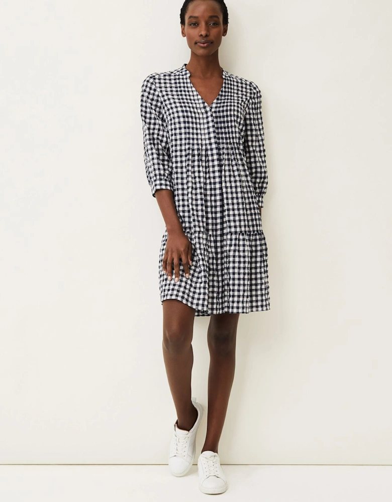 Oona Gingham Swing Dress