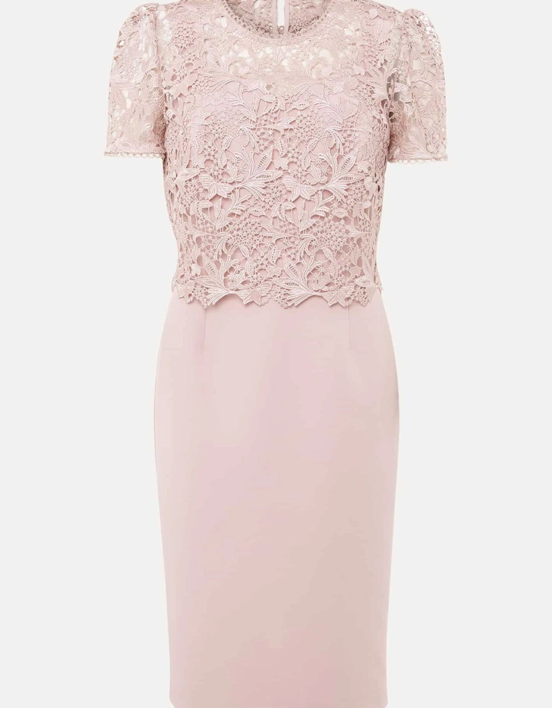 Isabella Lace Midi Dress