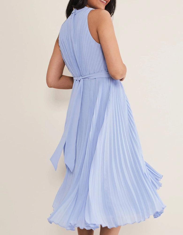 Petite Simara Pleated Midi Dress