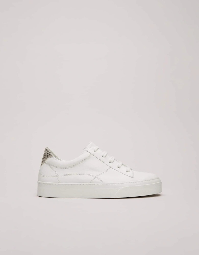 White Leather Trainers