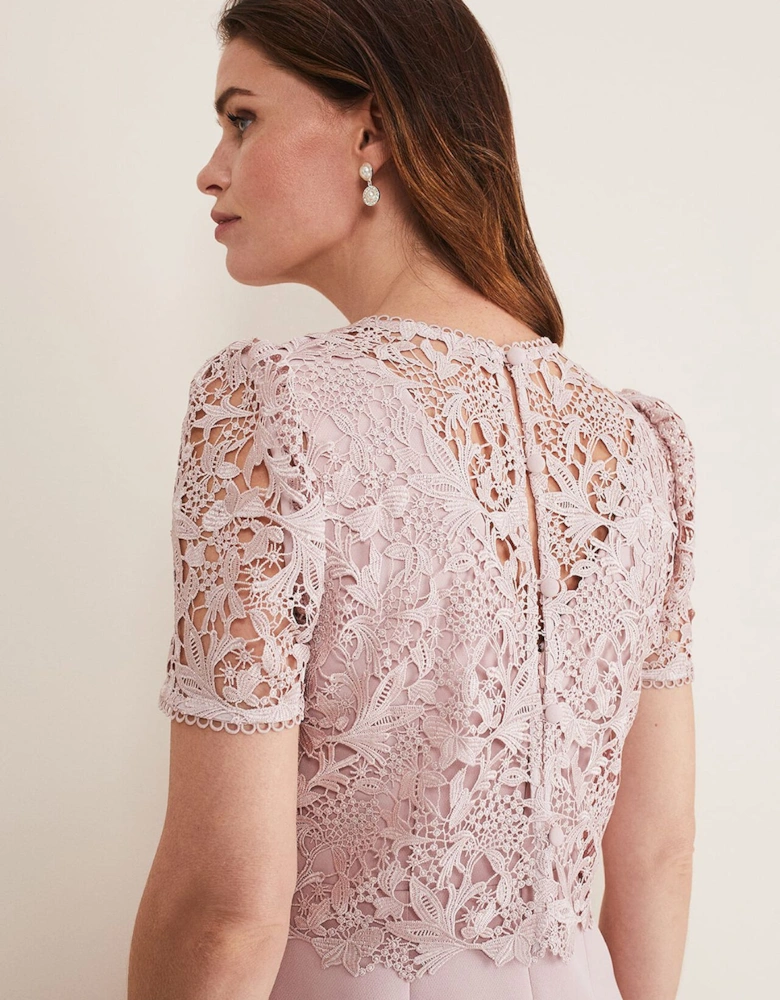 Isabella Lace Midi Dress