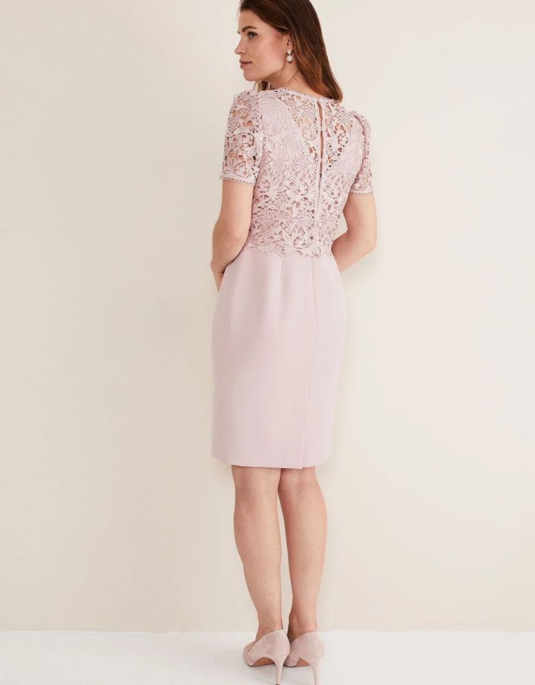 Isabella Lace Midi Dress