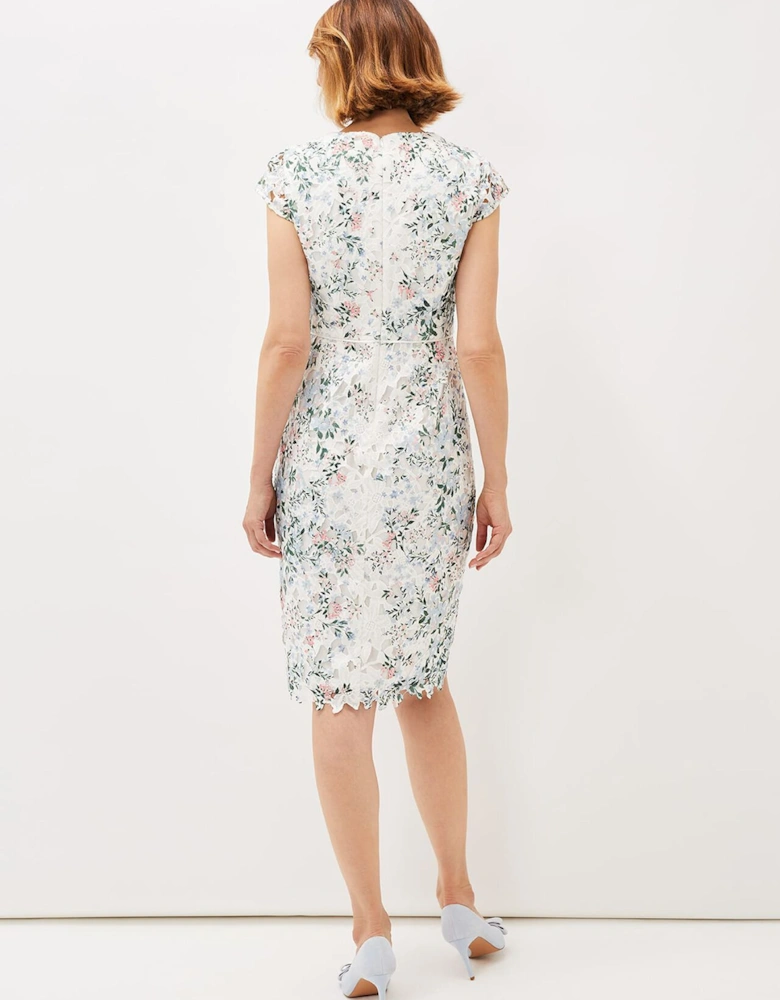 Franky Floral Lace Fitted Dress