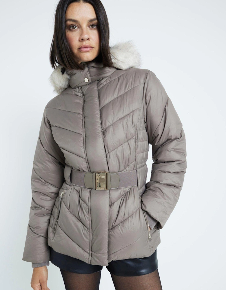 Slim Fit Padded Jacket - Dark Beige