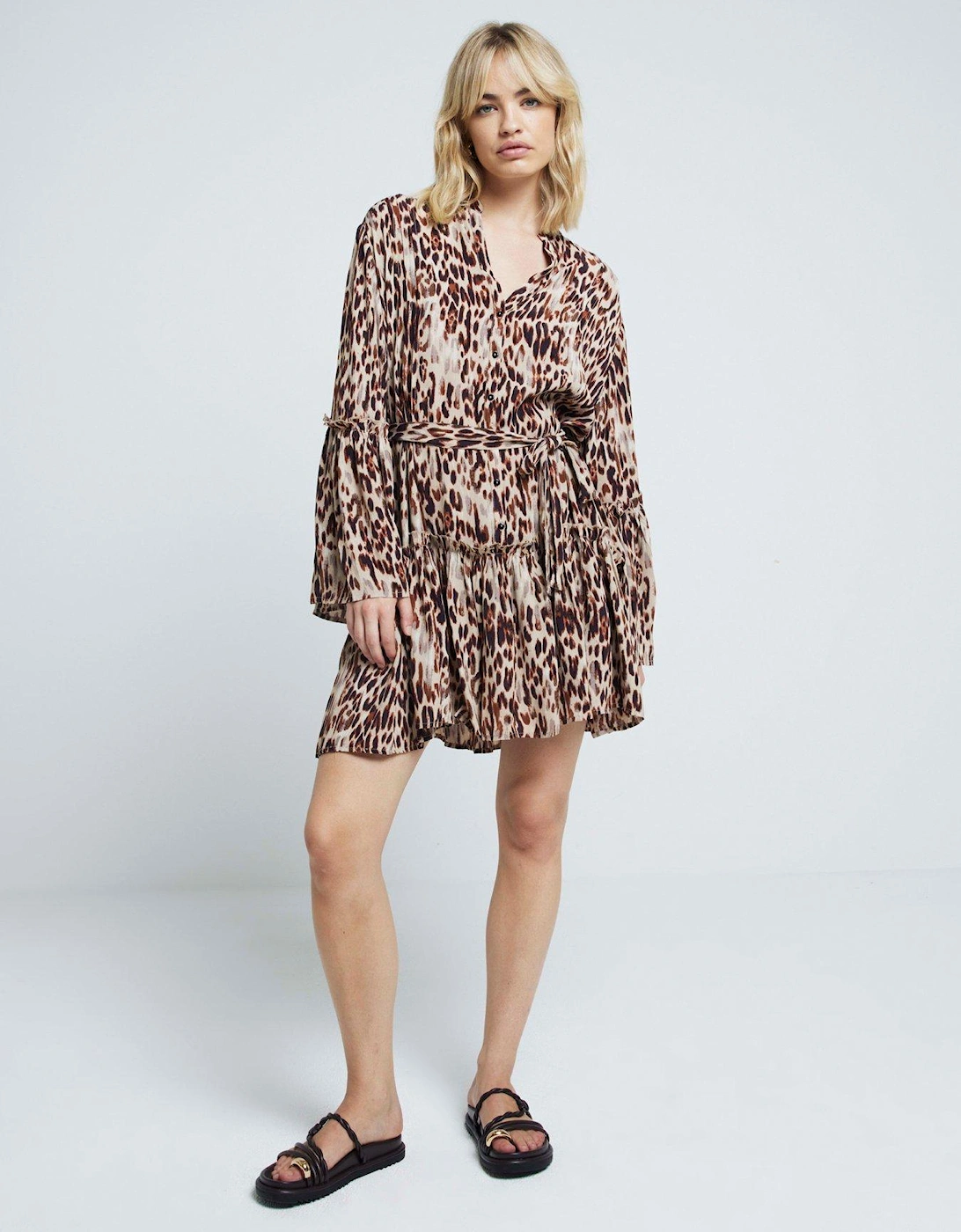 Animal Printed Dress - Brown