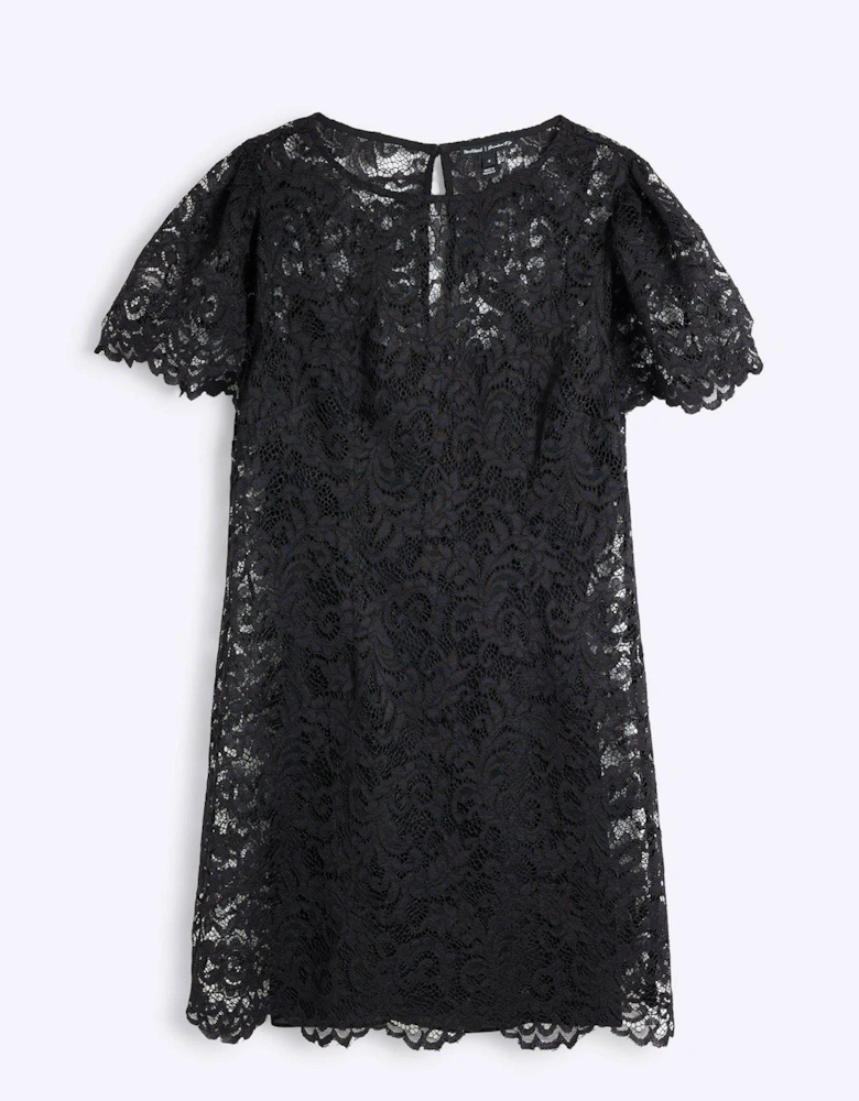 Lace Fabric Ditsy Floral A Line Mini Dress - Black