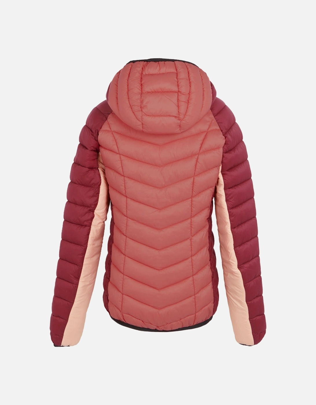 Womens/Ladies Dalent Quilted Hooded Jacket