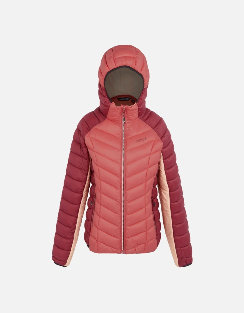 Womens/Ladies Dalent Quilted Hooded Jacket