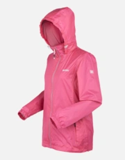 Flamingo Pink