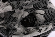 Thumbnail 5 of 6