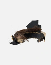 Thumbnail 5 of 5