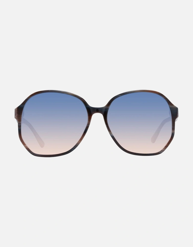 Brown Butterfly Sunglasses with Multicolor Gradient Lenses - Category