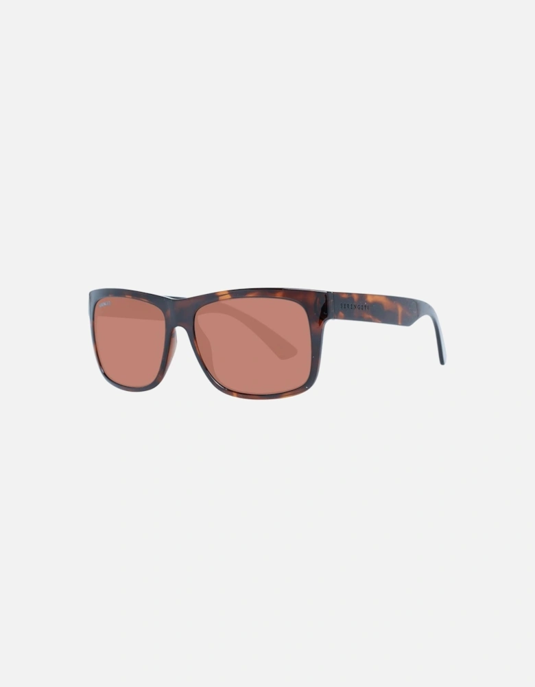 Makani Tortoise Sunglasses Unisex - Brown