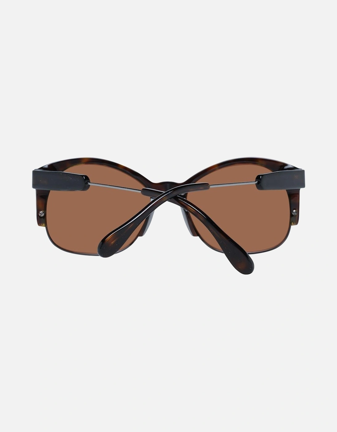 Modena SunglassesTortoise Style Unisex - Brown