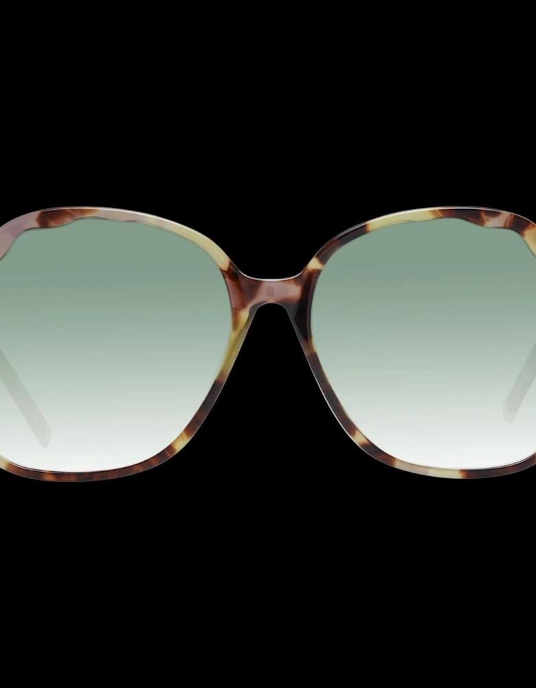 2347 Tortoiehell unglae Women - Multicolor Sunglasses