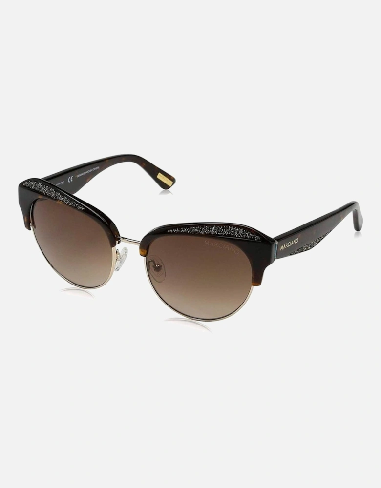 Acetate Bracelet Watch with Brown Dial Women Sunglasses