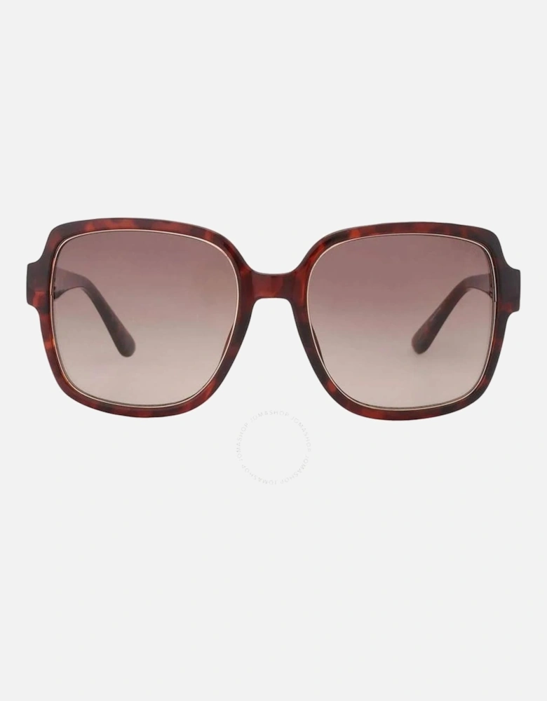 Resin Cat-Eye Sunglasses Women - Brown